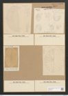Gompyloneis regalis (Greg.) Grun. (de-Toni-Nr.: Genus 39, Species 1796) Zeichnungen Sammlung Grunow Nr. 3575 (NHMW-BOT-W0371161)